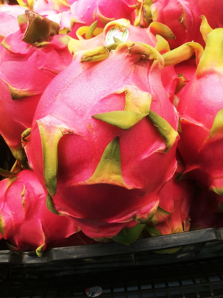 Les nombreux biens faits du Pitaya